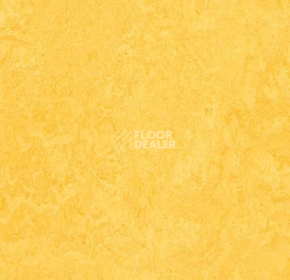 Линолеум Forbo Marmoleum Marbled Fresco 3251-325135 lemon zest фото 1 | FLOORDEALER